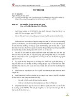 BM 11.To trinh 07 Uy quyen cho Hoi dong quan tri quyet dinh mot so noi dung tai dai hoi 2014