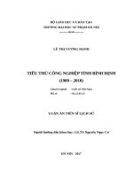 TIỂU THỦ CÔNG NGHIỆP TỈNH BÌNH ĐỊNH (1989 – 2010) 