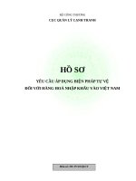 2015101217113055mau ho so yeu cau ap dung bien phap tu ve
