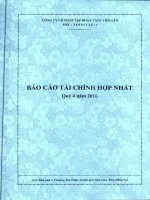 20170202 BCTC Hop nhat Q4 2016