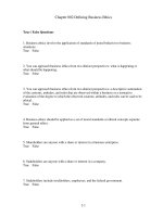 Business ethics now 3rd edition ghillyer test bank 