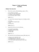 Cengage advantage books cultural anthropology a problem based approach 5th edition richard robbins test bank 