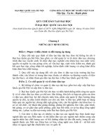 Quy che dao tao dai hoc o Dai hoc Quoc gia Ha Noi nam 2010