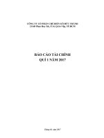 bao cao tai chinh quy 1 2017