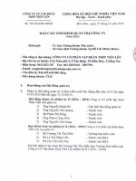 TIENLEN CORPORATION - Tập đoàn Thép Tiến Lên | Quan he co dong | Bao cao quan tri | Bao cao quan tri nam 2015 []