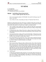 BM 11.To trinh 02 Thong qua quy che lam viec cua dai hoi