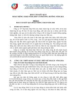 TIENLEN CORPORATION - Tập đoàn Thép Tiến Lên | Quan he co dong | Bao cao thuong nien | Bao cao ban Tong giam doc nam 2011