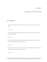 Contemporary advertising and integrated marketing communications 14th edition arens test bank 