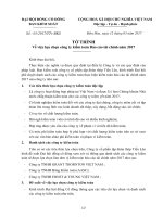 04 To trinh 01 2017 BKS thong qua cong ty kiem toan tien len chinh thuc