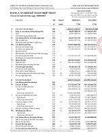 bctc hop nhat quy iii nam 2011