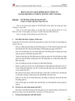 BM 09.Bao cao cua Ban Kiem soat ve hoat dong kiem soat  2014