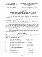 Nghi quyet 01 2012 DHDCD Tien Len Group 28042012 Chinh thuc