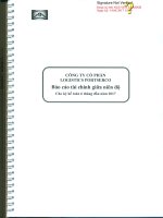 Báo cáo tài chính bán niên soát xét năm 2017