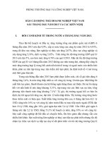 Bao cao VBiS DN 6 thang dau nam 2013