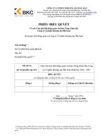 Lấy ý kiến cổ đông về việc Chủ tịch Hội đồng quản trị kiêm nhiệm Tổng Giám đốc Công ty xin y kien 1