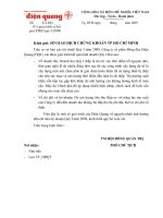 Giai trinh bao cao KQKD Quy i - 2009