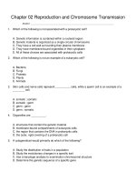 Concepts of genetics 1st edition brooker test bank 