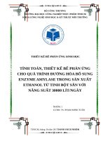 TÍNH TOÁN, THIẾT KẾ BỂ PHẢN ỨNG CHO QUÁ TRÌNH ĐƯỜNG HÓA BỔ SUNG ENZYME AMYLASE TRONG SẢN XUẤT ETHANOL TỪ TINH BỘT SẮN VỚI  NĂNG SUẤT 30000 LÍTNGÀY
