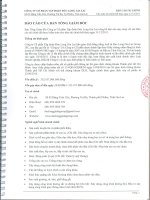 bctc cong ty me da kiem toan nam 2011