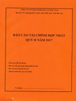 BKC.Bao cao tai chinh hop nhat quy II nam 2017