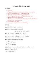 Chuyên đề 5  số nguyên tố 