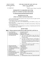 Nghị quyết của hội đồng quản trị ngày 17 11 2009