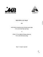 Tài liệu ĐHĐCĐ bất thường 2015