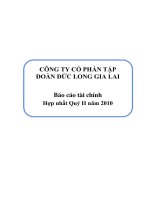 bctc hop nhat quy ii nam 2010