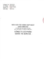 bao cao hop nhat giua nien do sign 2017