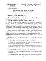 03. Bao cao KQKD nam 2016 va phuong huong 2017