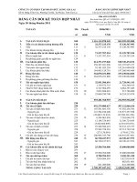 bctc hop nhat quy ii nam 2011