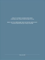 Báo cáo tài chính hợp nhất đã được kiểm toán năm 2008