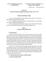 7 Bao cao BKS nam 2015   nhiem ky 2011 2016 fixed (1)