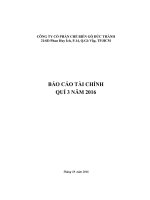 Báo cáo tài chính - Bao cao tai chinh bctc_q3-2016