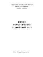 Điều lệ Công ty CP Tập đoàn Hòa Phát sửa đổi 2012