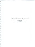 BCTC Cty me nam 2015 V01 160315 TCKT ducnl