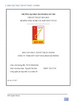 thực tập kỹ thuật nhà máy DAP hải phòng