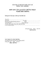 Văn bản hành chính: Đơn xin đính chính lại giấy chứng nhận nghề phổ thông gcn npt