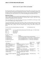 Báo cáo tài chính kiểm toán năm 2008 - Dien Quang 2 Bao cao cua BGD