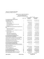 BCTC hop nhat quy III. 2010