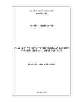 háp luật về công ty chứng khoán bảo đảm phù hợp với các cam kết quốc tế 