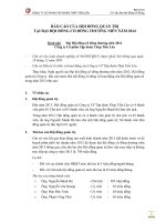 BM 10.Bao cao cua Hoi dong quan tri nam 2014