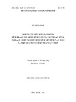 Nghiên cứu điều kiện lao động, tình trạng sức khỏe bệnh tật của người lao động tại làng nghề tái chế nhôm Bình Yên tỉnh Nam Định và hiệu quả một số biện pháp can thiệp.