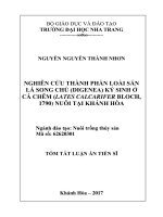 Nghiên cứu thành phần loài sán lá song chủ (digenea) ký sinh ở cá chẽm (lates calcarifer bloch, 1790) nuôi ở khánh hòa (tt) 