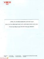 bao cao tai chinh hop nhat giua nien do da duoc soat xet