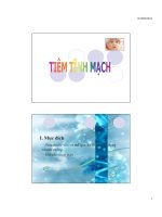 Tiêm tĩnh mạch | Website Bệnh viện nhi đồng 2 - www.benhviennhi.org.vn Tiem tinh mach