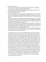 bài word về nguyên nhân và hậu quả của 1 số loài có nguy cơ tuyệt chủng ở vn