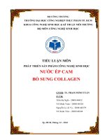 phát triển sản phẩm CNSH  Nước ép cam bổ sung Collagen