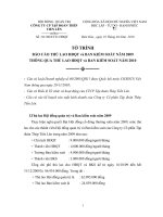 To trinh 01 2010 BC thu lao HDQT BKS