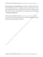 m t s  v n    v  t  gi  h i  o i  nh h  ng c a n  v  m t s  bi n ph p    ho n thi n t  gi  h i  o i trong giai  o n hi n nay   Vi t Nam